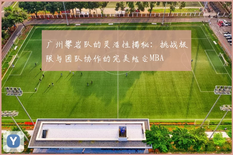 广州攀岩队的灵活性揭秘：挑战极限与团队协作的完美结合MBA