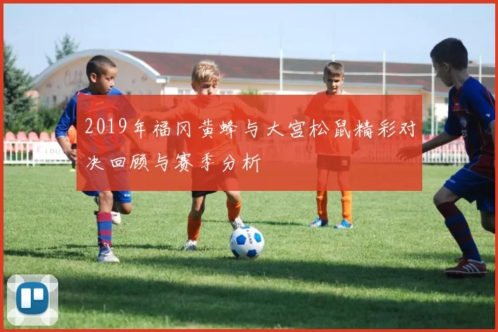 2019年福冈黄蜂与大宫松鼠精彩对决回顾与赛季分析