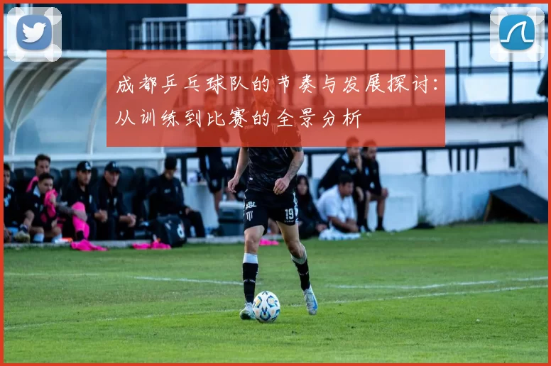 成都乒乓球队的节奏与发展探讨：从训练到比赛的全景分析